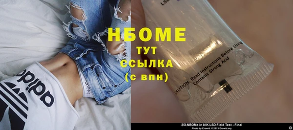 гашик Алексеевка