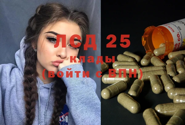 гашик Алексеевка