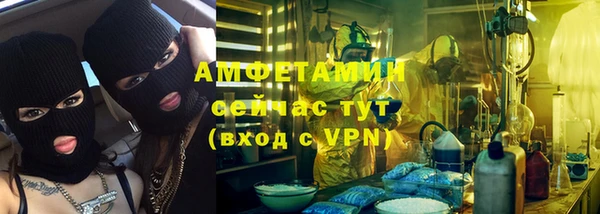 гашик Алексеевка