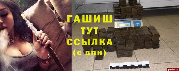 гашик Алексеевка