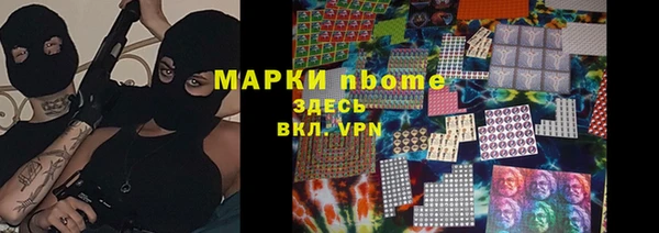 крисы Алзамай