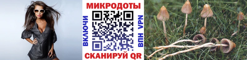Галлюциногенные грибы прущие грибы  цены наркотик  Суровикино 